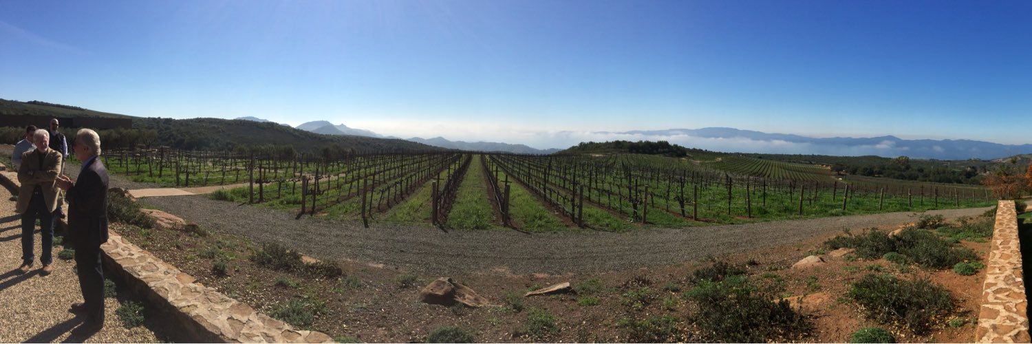 Lee Edwards, CS, CSW banner