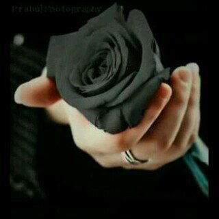 nti_fanny's profile banner image