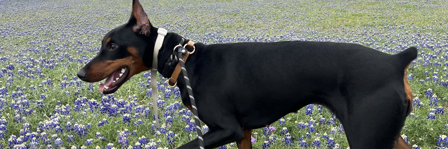 therealnatmart's profile banner image