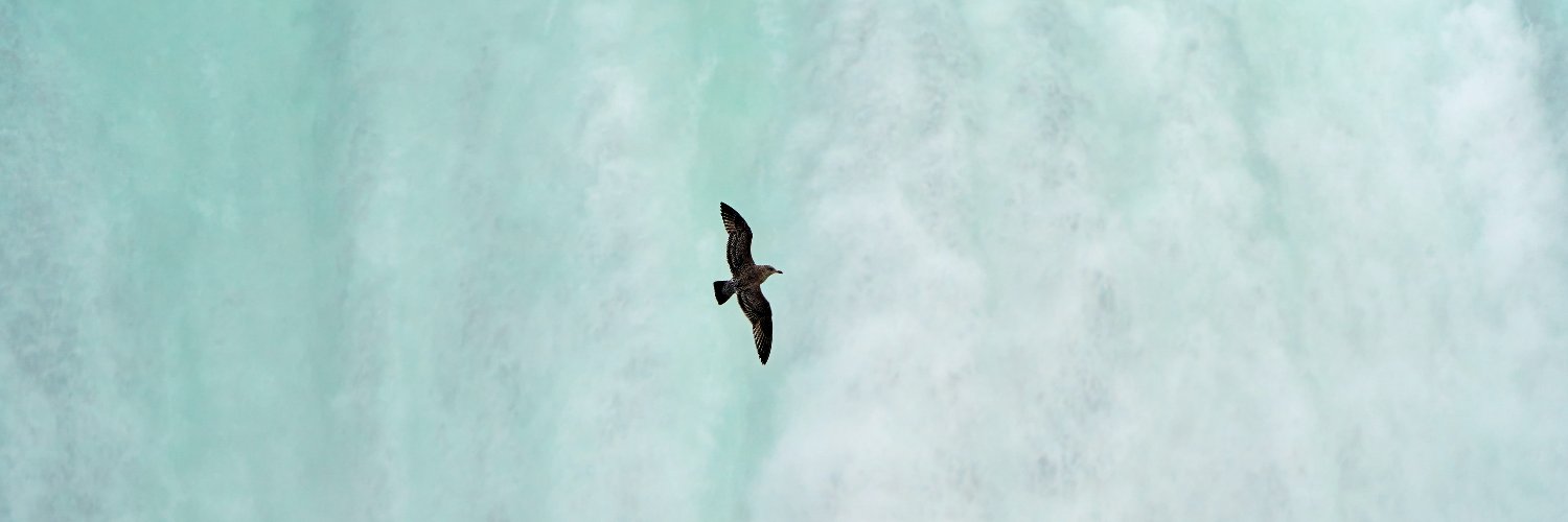TheFlourishIn's profile banner image