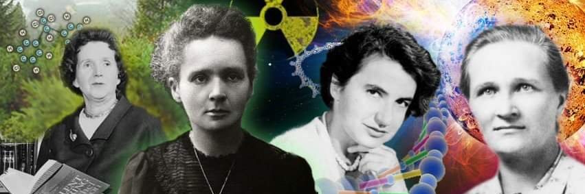 Natalia S. Araujo banner