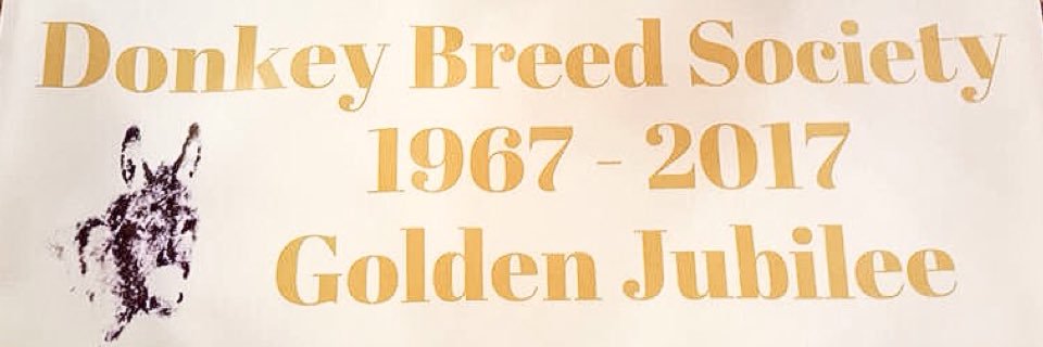 DonkeyBreedS's profile banner image
