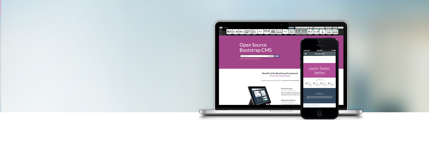 Odoo CMS banner