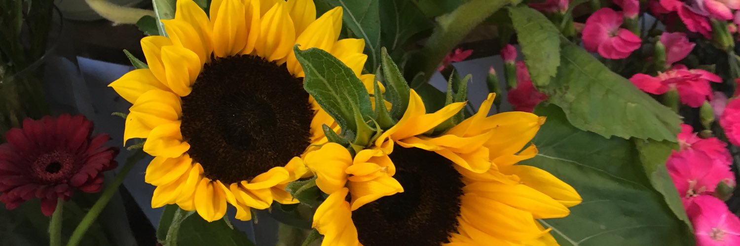 ashleyroz's profile banner image