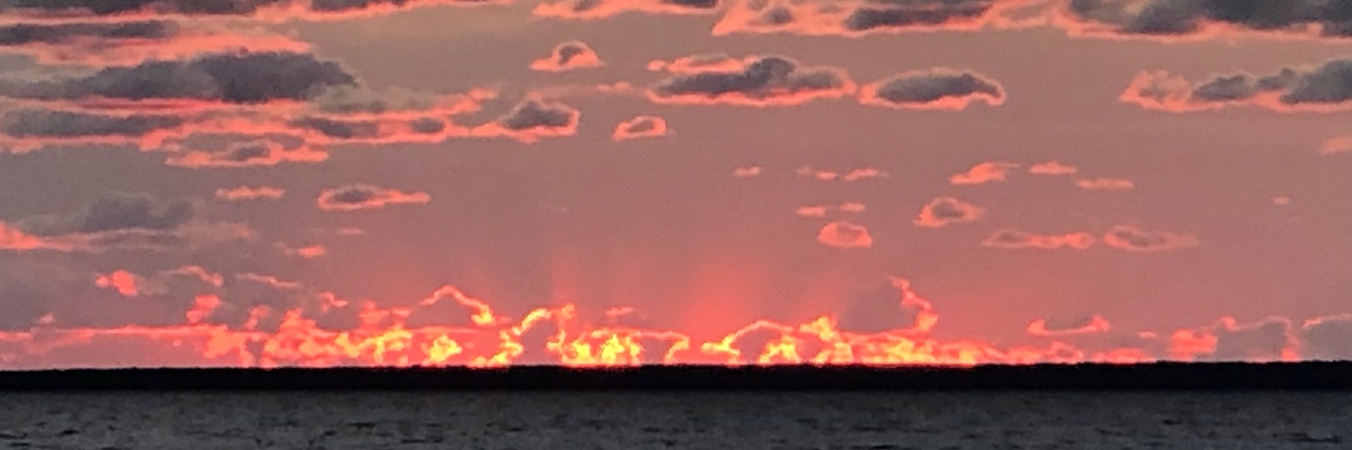 Prof Lora Heisler banner