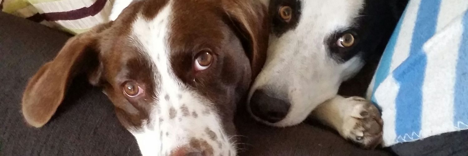 GraceMCowley's profile banner image