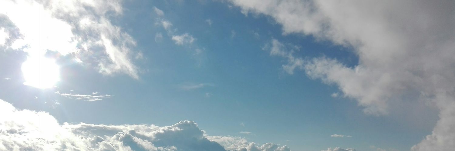 sylviageiger70's profile banner image