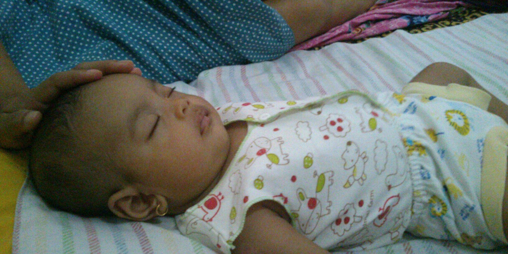 pambed's profile banner image