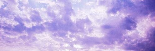 lisaspikyflower's profile banner image