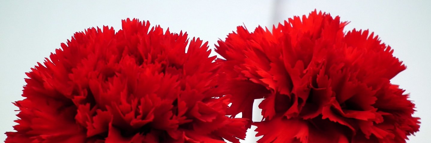 Fmac7's profile banner image