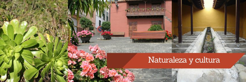 TurismoArafo's profile banner image