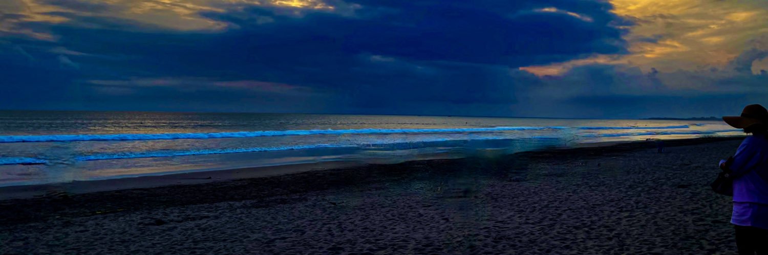 Dharmadji5's profile banner image