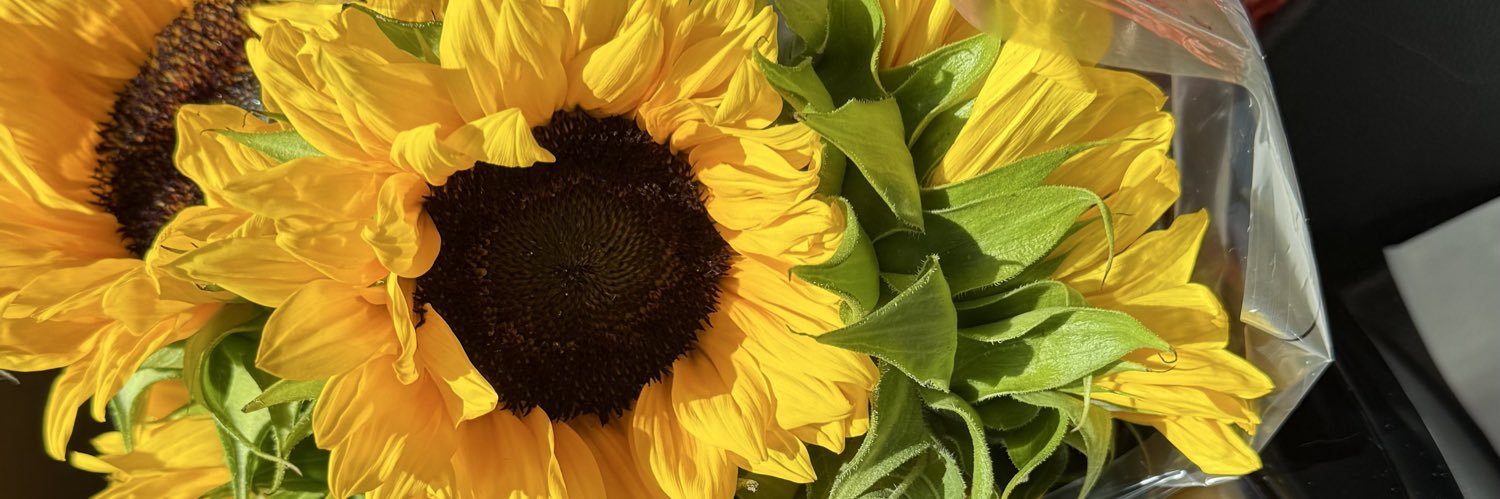 arrynextdoor's profile banner image