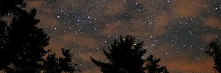 Selmaaglrr's profile banner image