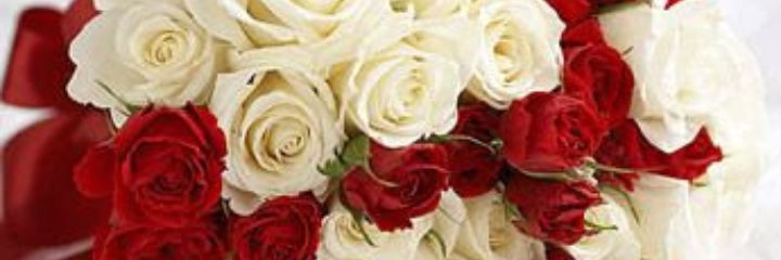 mero_201331's profile banner image