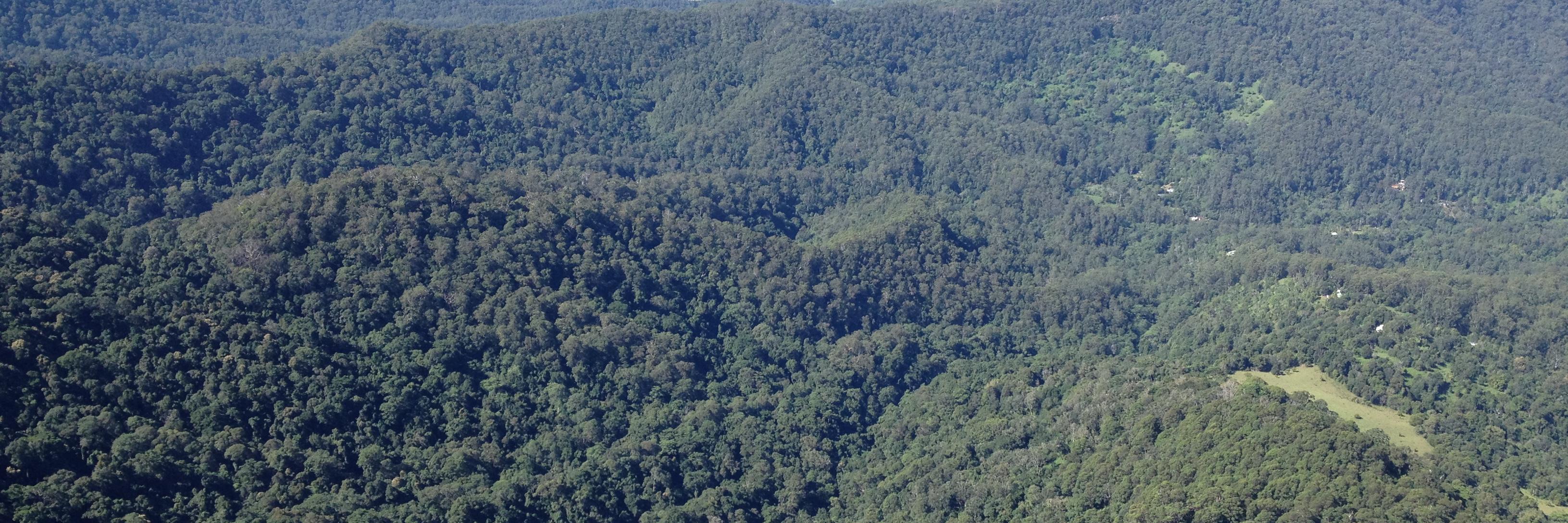 Samrat Sarkar banner