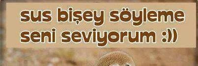 MustafaSeyfos's profile banner image