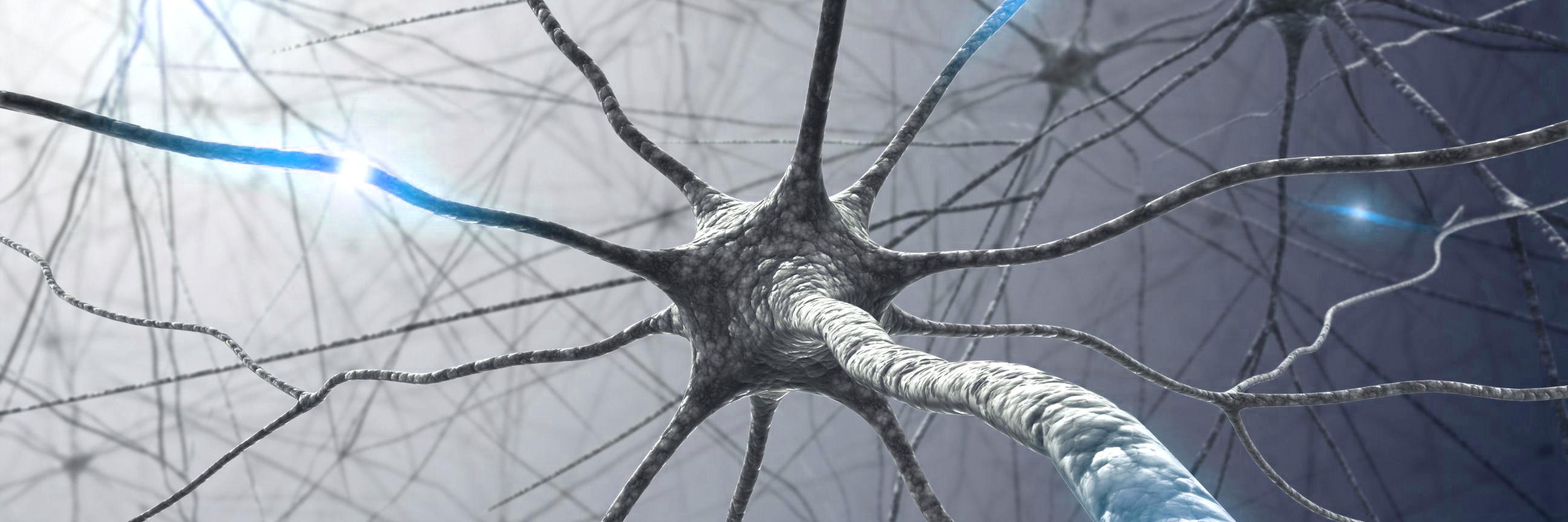 MSBase Registry banner