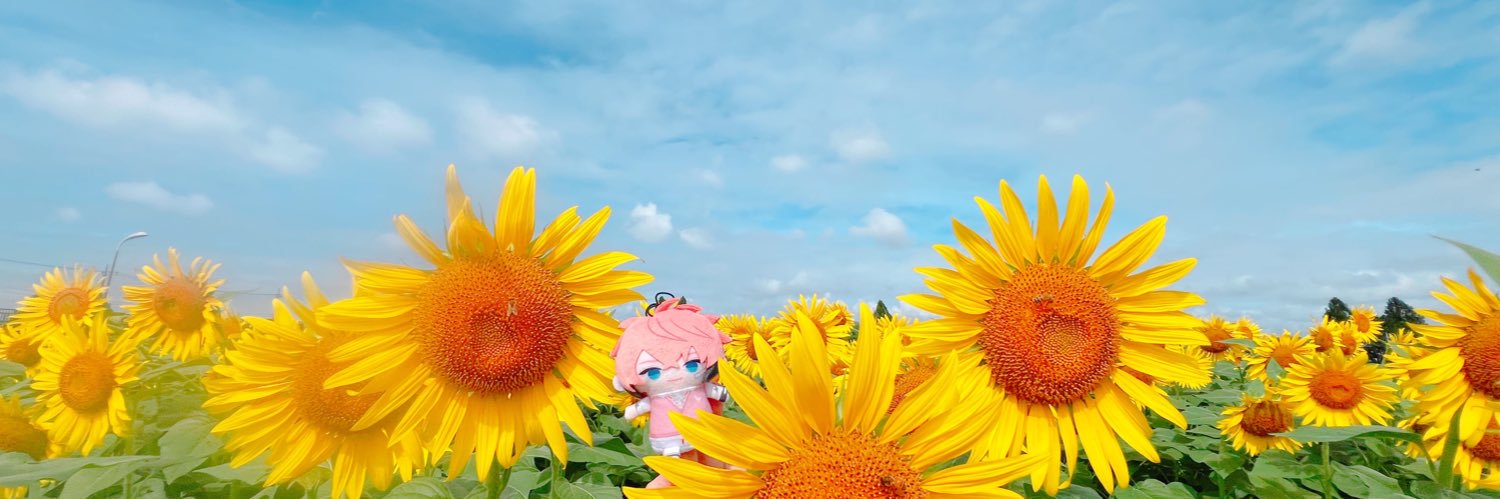 oniqdayo's profile banner image