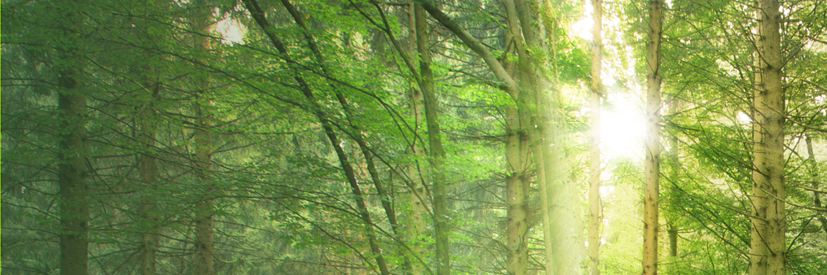 RecleimLLC's profile banner image