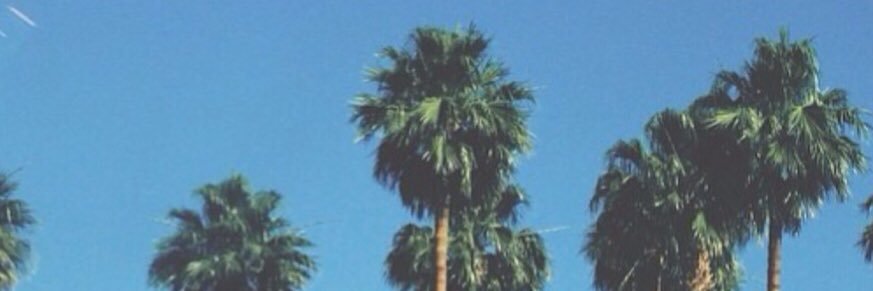MATTLINTZS's profile banner image