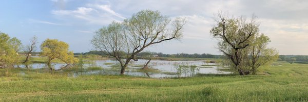 LeeRegner Profile Banner