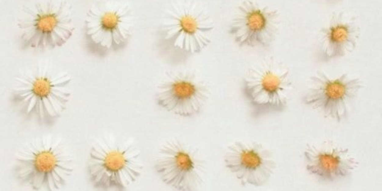 puru227's profile banner image