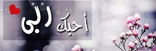 Sali2604's profile banner image