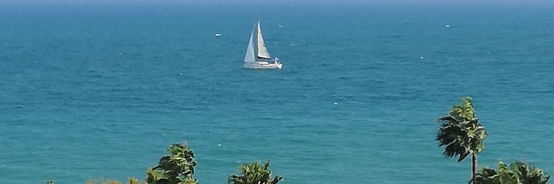 SelenyumSE's profile banner image