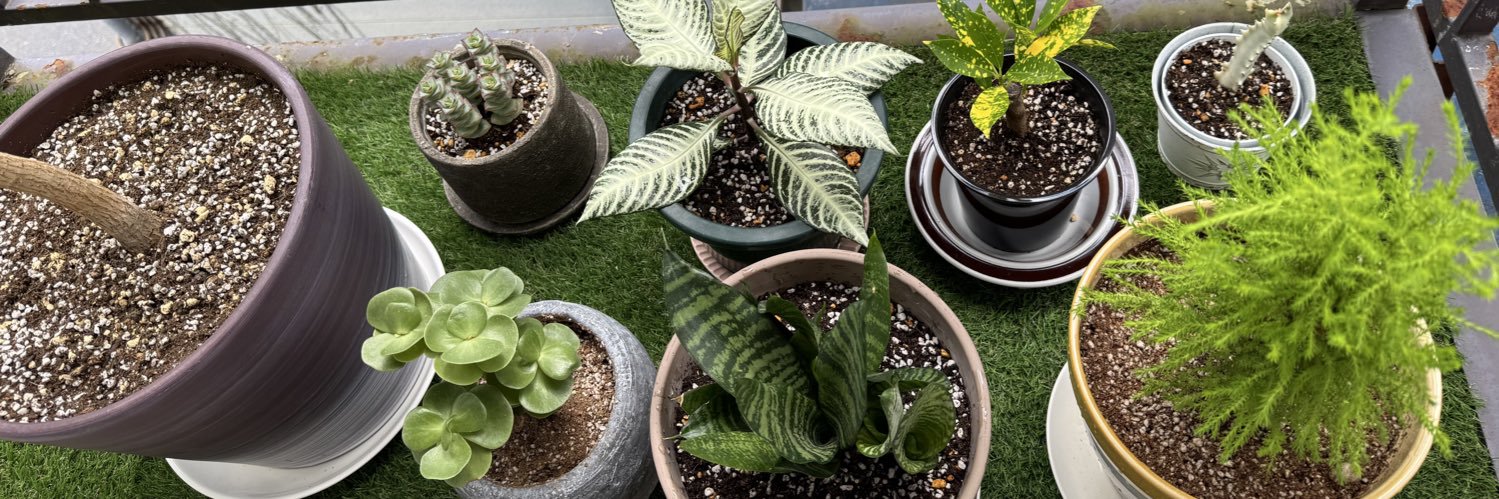 田中博士 HiroshiTanaka banner