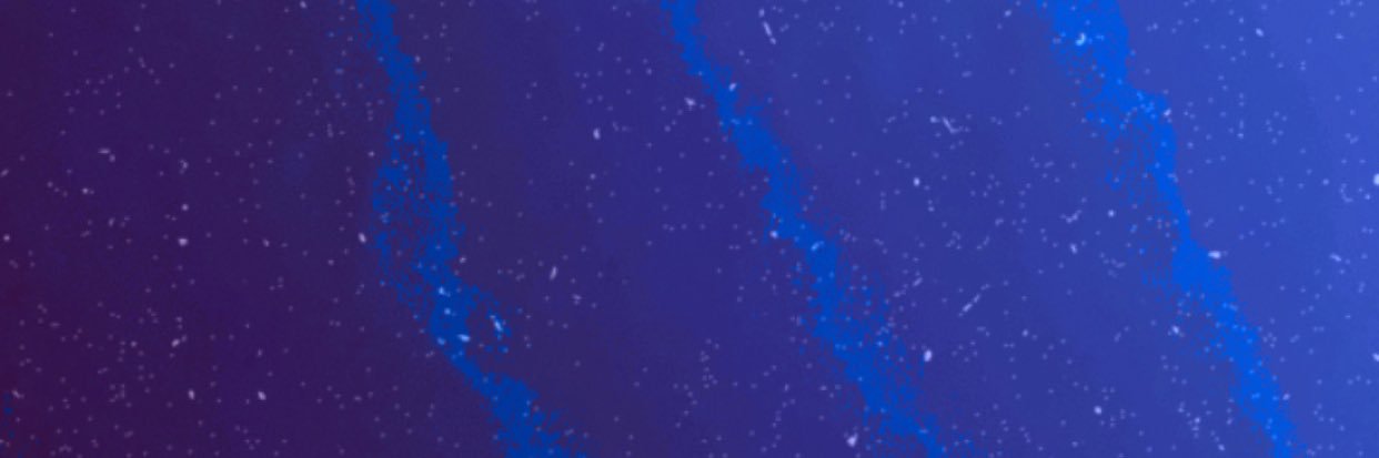 AJRujaib's profile banner image