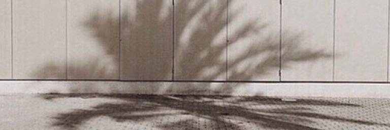 iggyyazelea's profile banner image