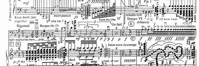 Samara Ginsberg banner