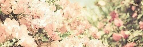 alecast11's profile banner image