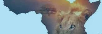 pcgfschool's profile banner image