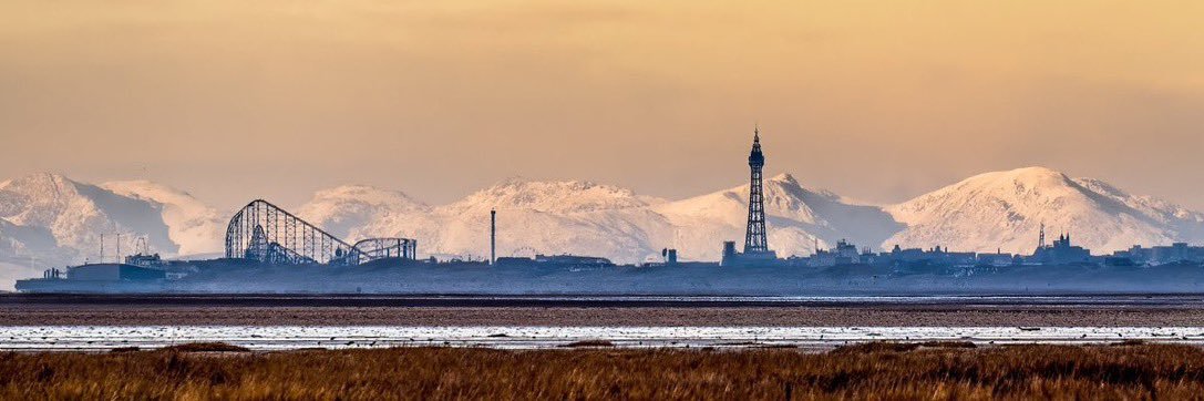 Steve Seymour banner