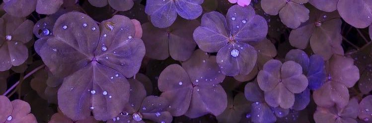 ooa_sun's profile banner image