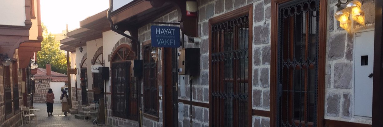 hsvankara's profile banner image