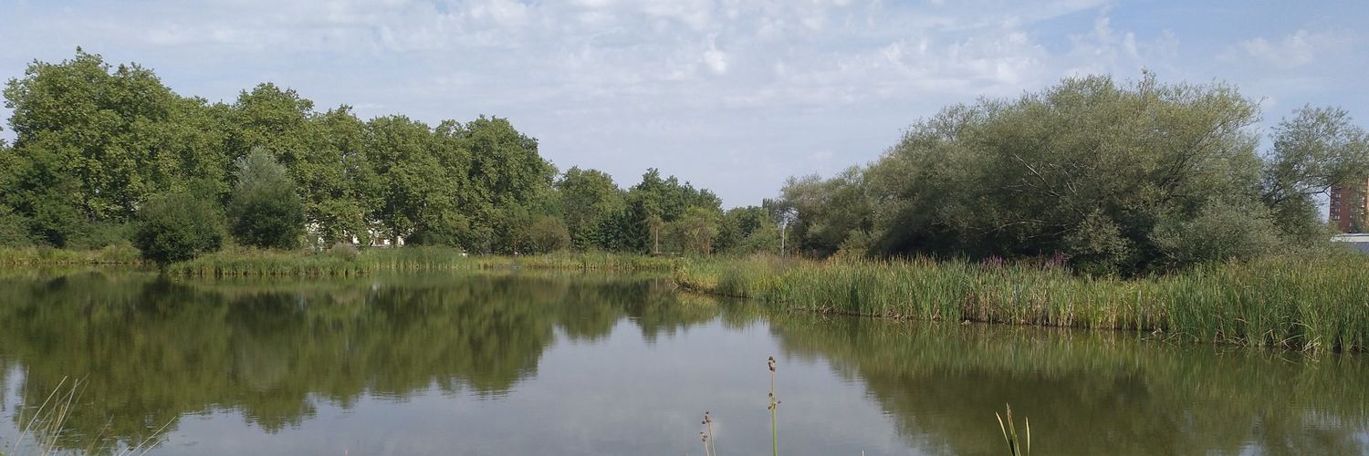 Oscar Fdez Martín 🌻 banner