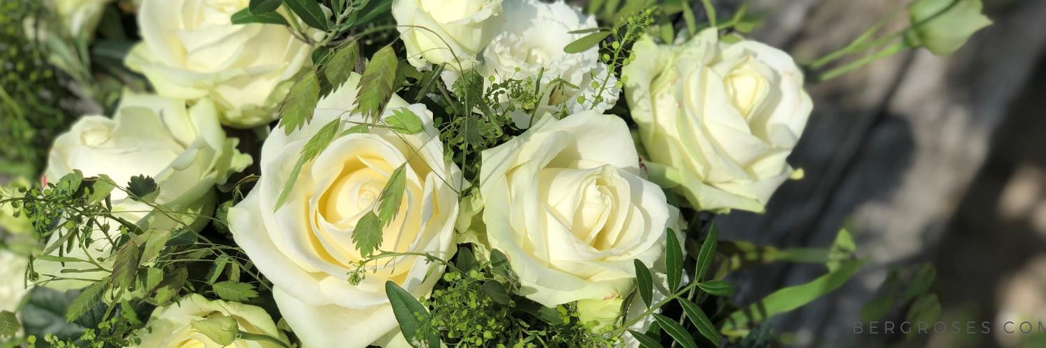 bergroses.com banner