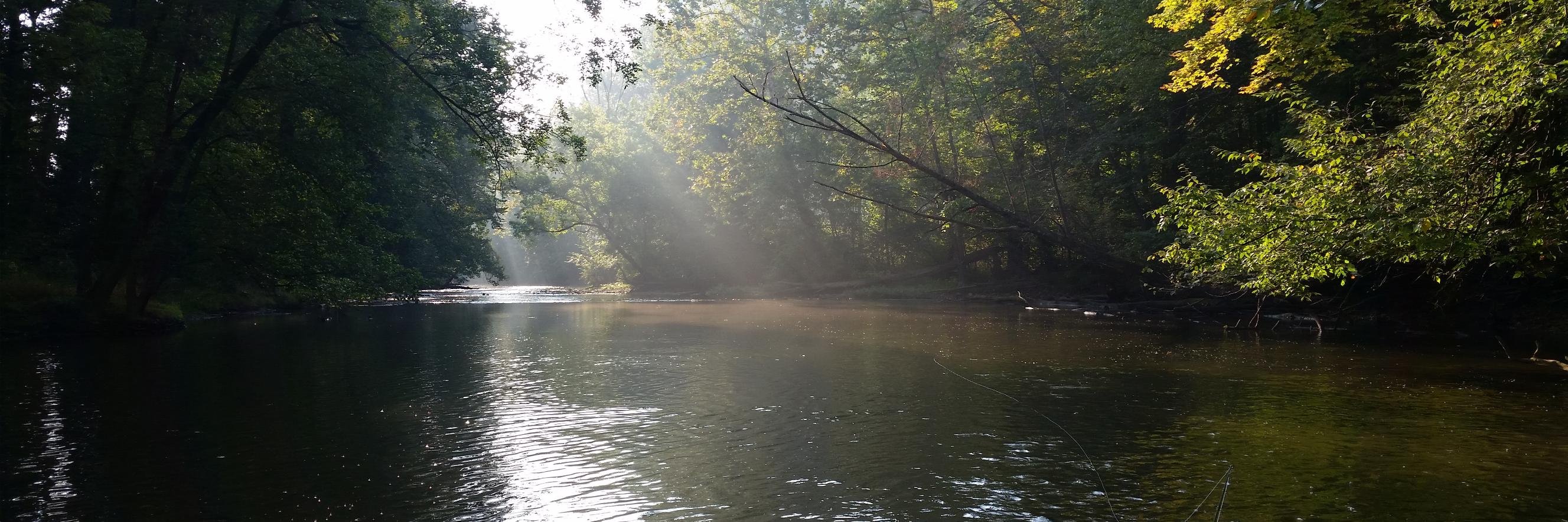 Fishmidwest's profile banner image