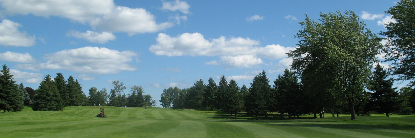 DalewoodTurf's profile banner image