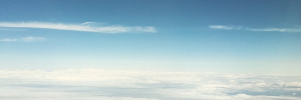 kikudog's profile banner image