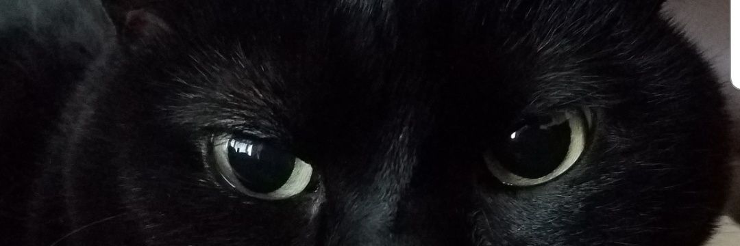 suzanddon's profile banner image