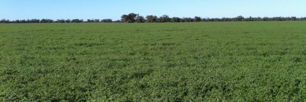 QuigTony Profile Banner