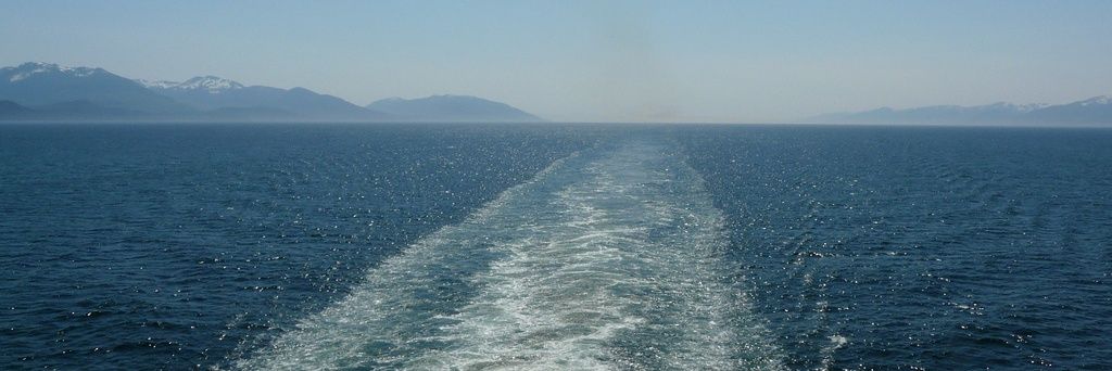 ⚓️Cruise Follower 🚢 banner