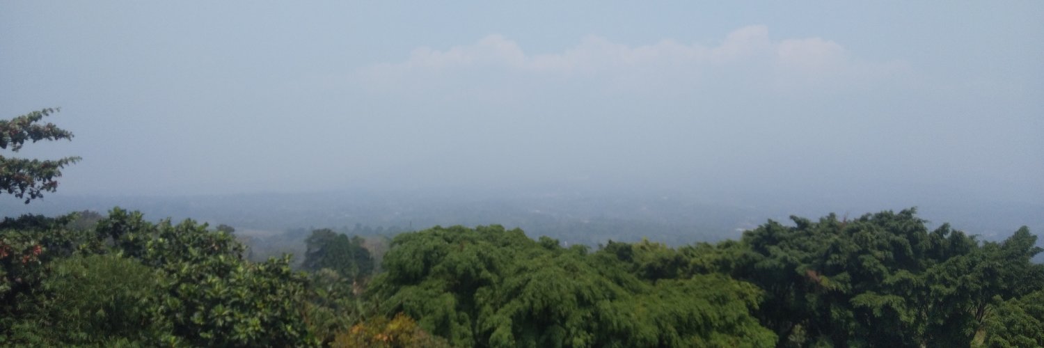 Dewii_NL's profile banner image