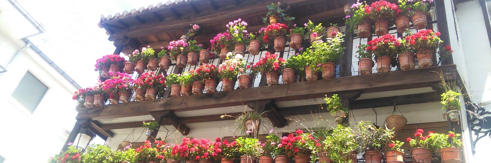 cafeteriaflores's profile banner image