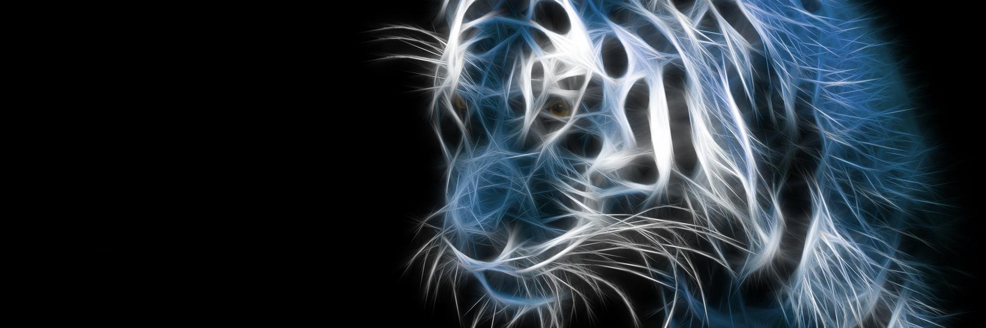 PagesThinker's profile banner image
