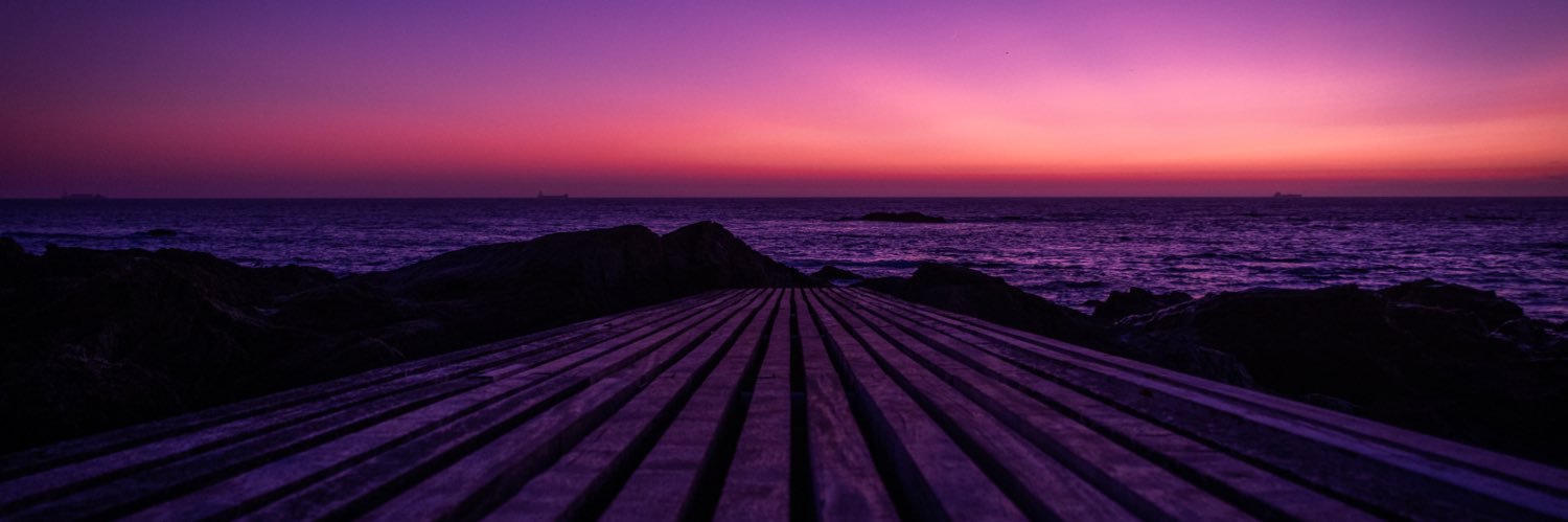 lmponte's profile banner image